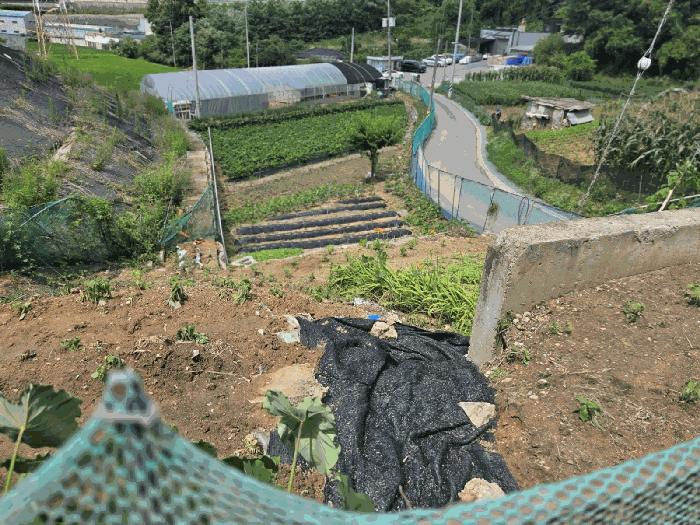 2025타경602 법원경매 사진5 | 천안 동남구 잡종지 경매