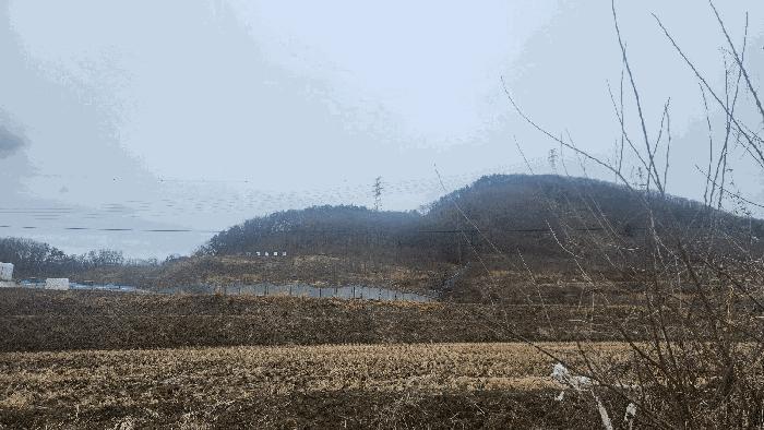2025타경11209 법원경매 사진12 | 충남 아산시 답 경매