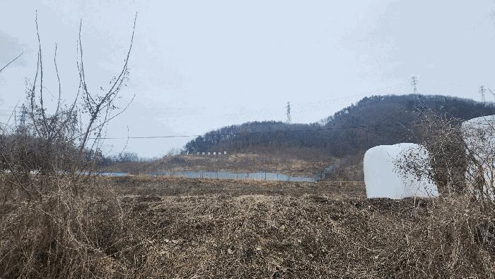 2025타경11209 법원경매 사진16 | 충남 아산시 답 경매