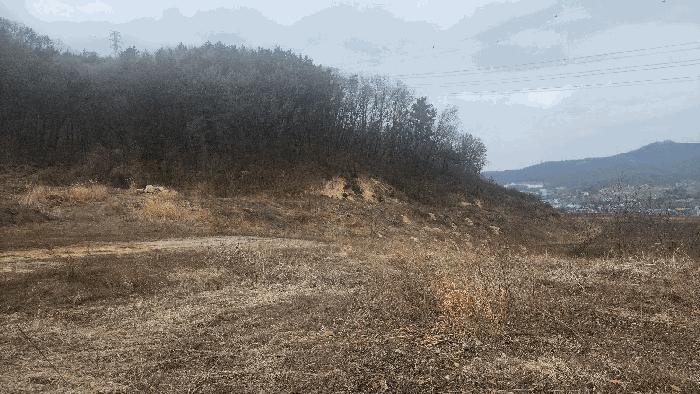 2025타경11209 법원경매 사진19 | 충남 아산시 답 경매