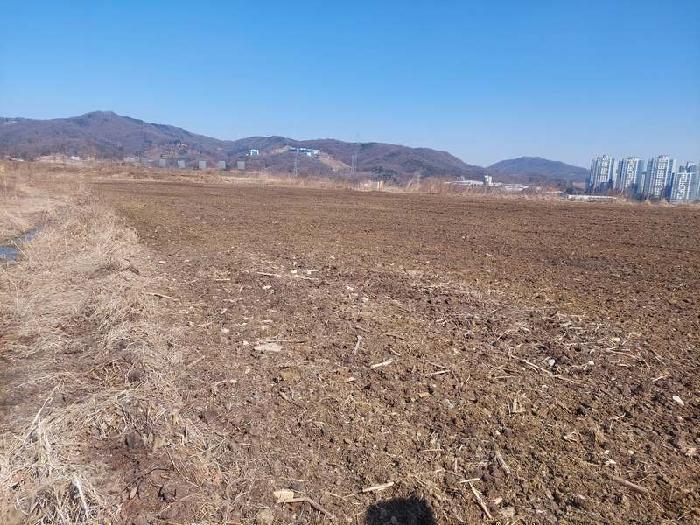2025타경11209 법원경매 사진43 | 충남 아산시 답 경매