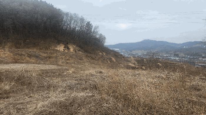 2025타경11209 법원경매 사진6 | 충남 아산시 답 경매