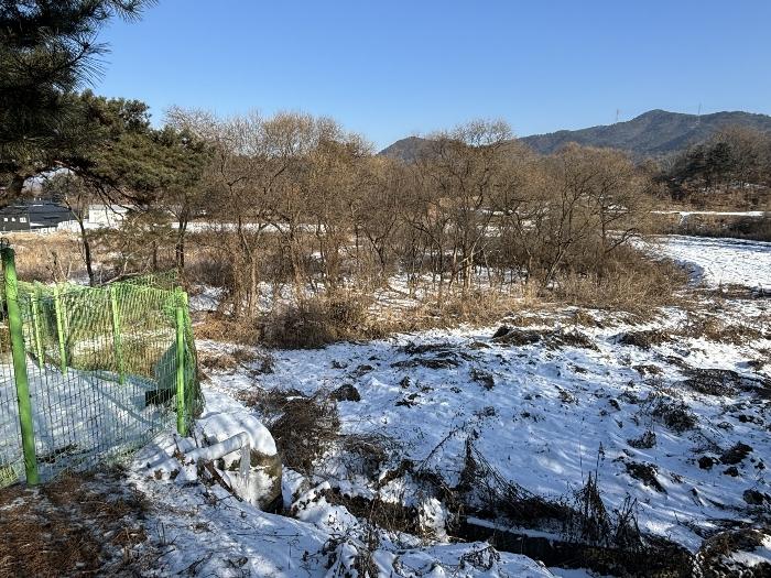 법원경매 2024타경7317 사진8 | 포천시 군내면 상성북리 315 답 경매