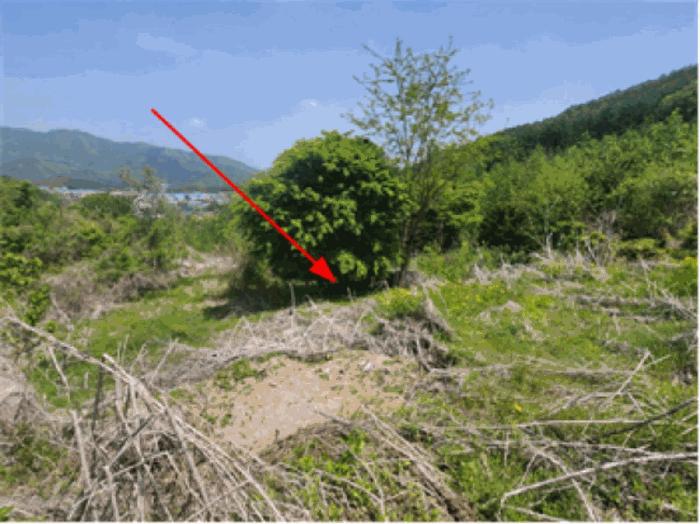 법원경매 2025타경71583 사진4 | 남양주시 화도읍 가곡리 15-59 대지 경매