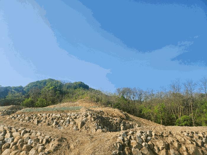 법원경매 2025타경71617 사진2 | 가평군 상면 연하리 임야 경매