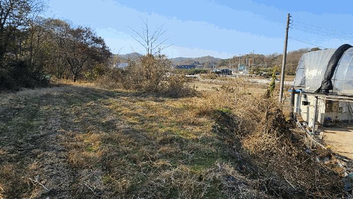 2025타경3964 법원경매 사진2 | 세종 연기면 전 경매