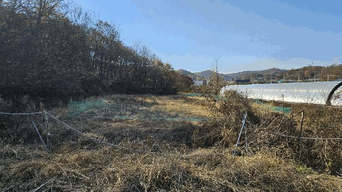 2025타경3964 법원경매 사진3 | 세종 연기면 전 경매
