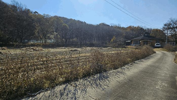 2025타경3964 법원경매 사진4 | 세종 연기면 전 경매