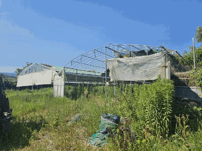 2025타경33246 법원경매 사진2 | 전남 나주시 전답 경매