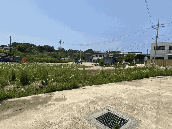 법원경매 2025타경52290 사진2 | 안산시 단원구 대부남동 609-25 답 경매