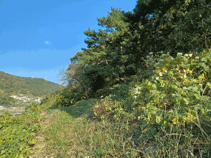 경상남도 창원시 진해구 청안동 산138-7 법원경매 물건 대표사진