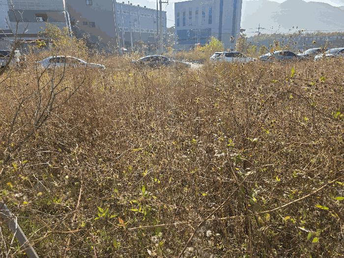 2025타경12375 법원경매 사진6 | 경남 김해시 대지 경매