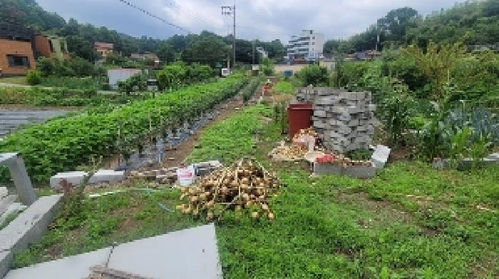 2025타경229 법원경매 사진12 | 경남 함안군 주택건물 경매