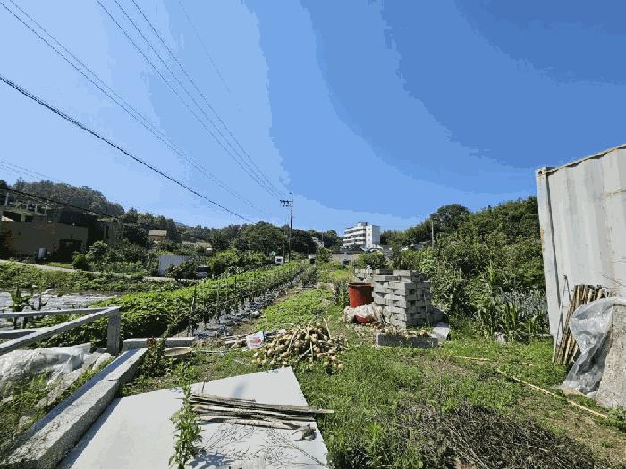 2025타경229 법원경매 사진8 | 경남 함안군 주택건물 경매
