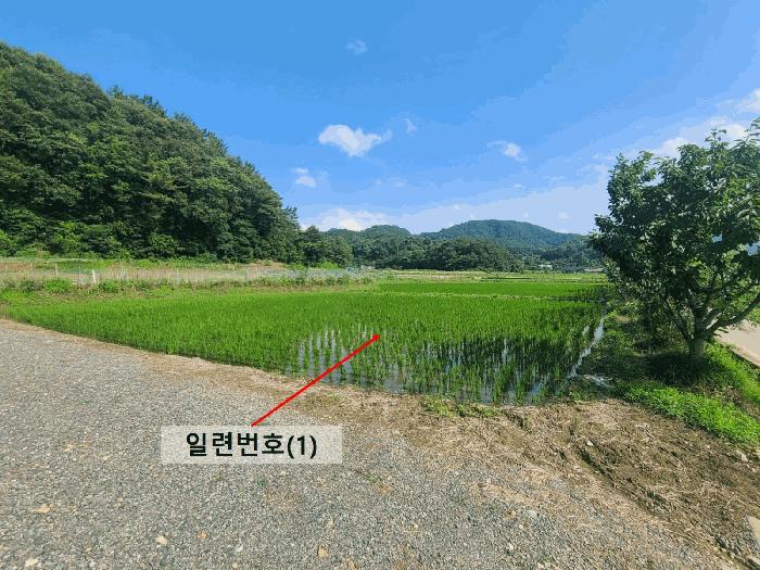 2025타경237 법원경매 사진3 | 경남 함안군 답 경매