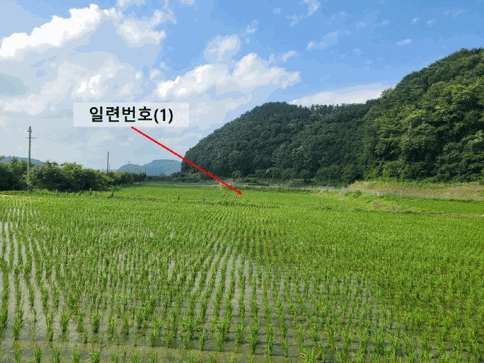 2025타경237 법원경매 사진5 | 경남 함안군 답 경매