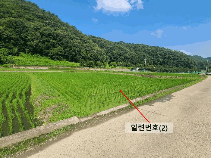 경상남도 함안군 함안면 봉성리 1079-1 법원경매 물건 대표사진