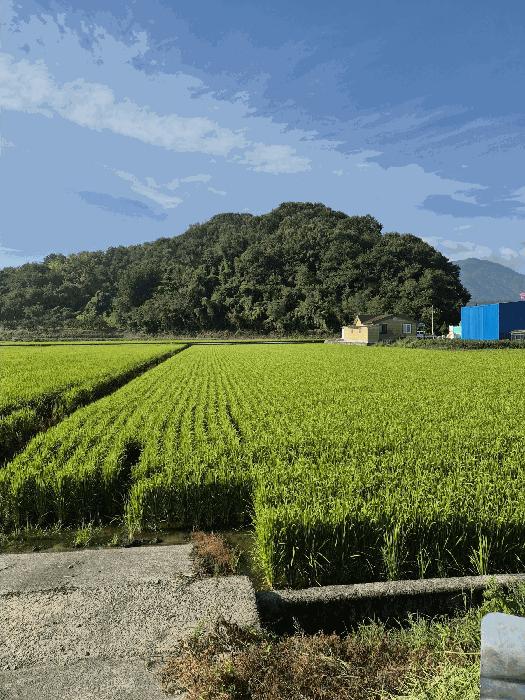 2025타경283 법원경매 사진2 | 경남 함안군 임야 경매