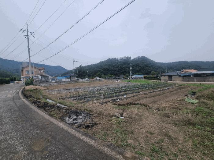 법원경매 2025타경20615 사진4 | 함안군 함안면 파수리 488-30 답 경매