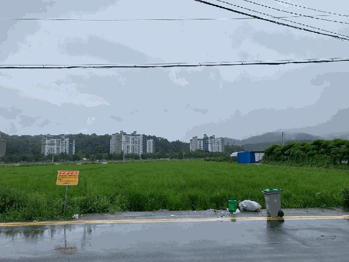 2025타경20776 법원경매 사진4 | 경남 함안군 답 경매