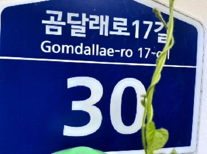 법원경매 2025타경11583 사진5 | 서울 강서구 화곡동 424-39 에이엔캐슬 다세대주택 경매