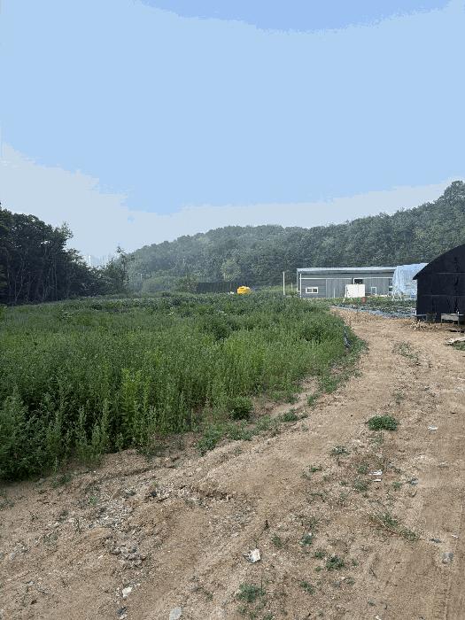 2025타경509370 법원경매 사진9 | 인천 남동구 임야 경매