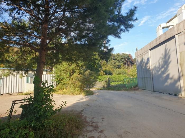 법원경매 2024타경90629 사진3 | 용인시 처인구 이동읍 서리 379 답 경매