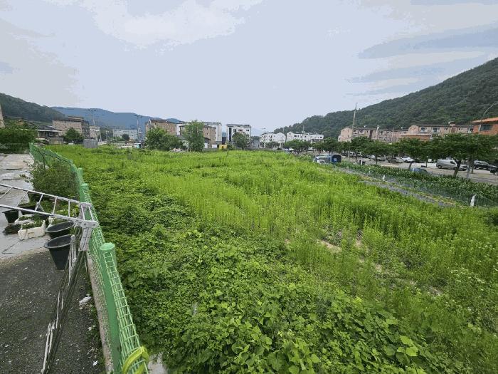 법원경매 2025타경52267 사진3 | 광주시 퇴촌면 관음리 235 답 경매