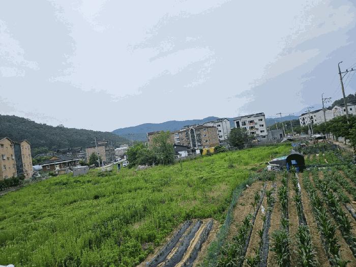법원경매 2025타경52267 사진8 | 광주시 퇴촌면 관음리 235 답 경매