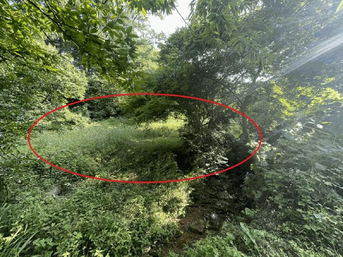 세종특별자치시 장군면 은용리 352-8 법원경매 물건 대표사진
