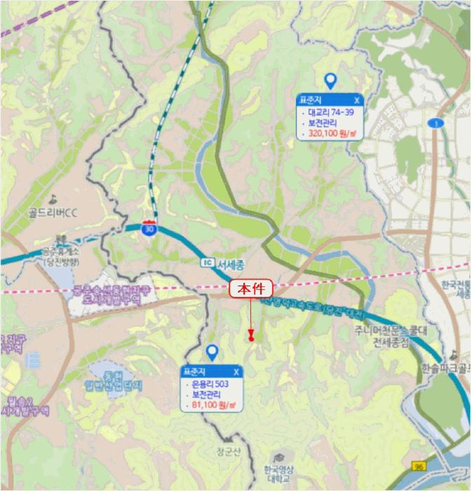 2025타경3600 법원경매 사진30 | 세종 장군면 대지 경매