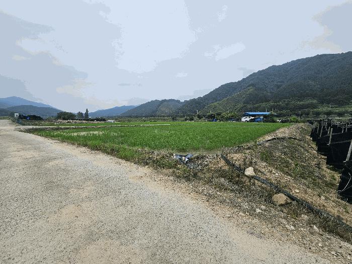 2025타경3625 법원경매 사진5 | 충남 금산군 답 경매