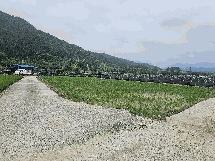 2025타경3625 법원경매 사진7 | 충남 금산군 답 경매