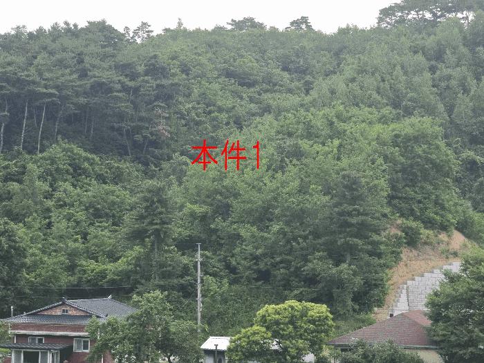 법원경매 2025타경886 사진2 | 원주시 소초면 흥양리 414-2 임야 경매