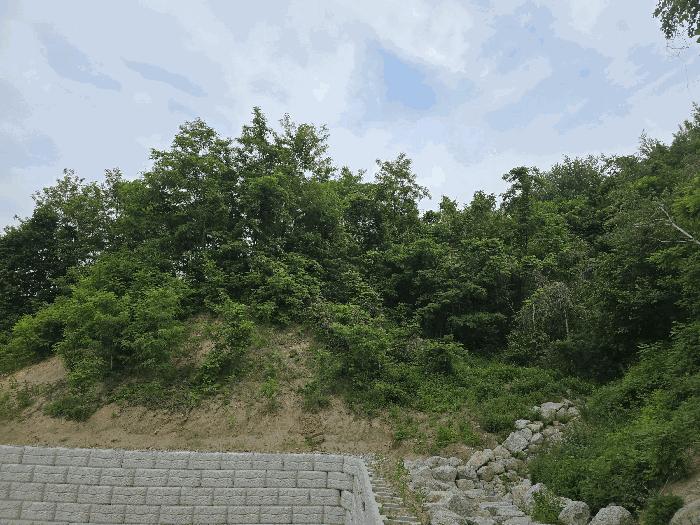 법원경매 2025타경886 사진3 | 원주시 소초면 흥양리 414-2 임야 경매