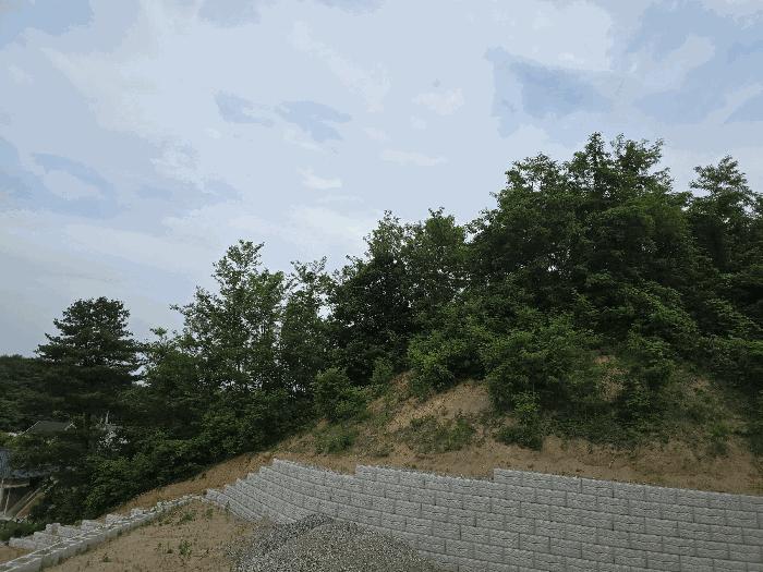 법원경매 2025타경886 사진4 | 원주시 소초면 흥양리 414-2 임야 경매