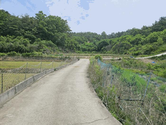 법원경매 2025타경851 사진2 | 영천시 임고면 매호리 21 대지,임야,전답 경매