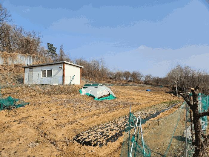 법원경매 2025타경20513 사진3 | 원주시 태장동 2327 전 경매