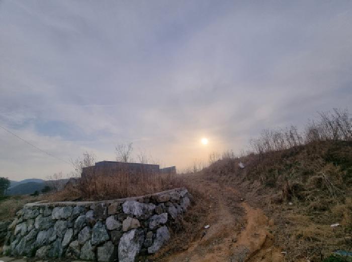법원경매 2025타경502198 사진7 | 장군면 봉안리 29-20 도로 경매