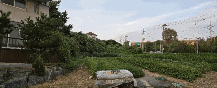 법원경매 2025타경42583 사진8 | 평택시 고덕면 당현리 212-5 대지 경매