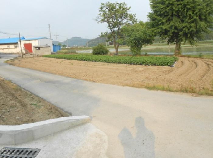 2025타경502427 법원경매 사진5 | 세종 전동면 전답 경매