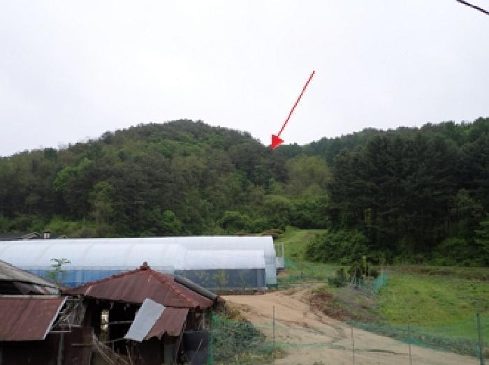 법원경매 2025타경20621 사진2 | 횡성군 둔내면 임야 경매