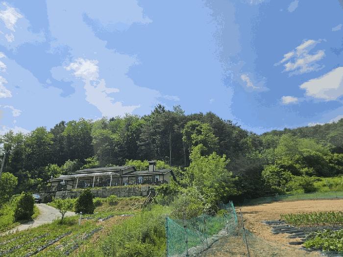 법원경매 2025타경20621 사진4 | 횡성군 둔내면 임야 경매