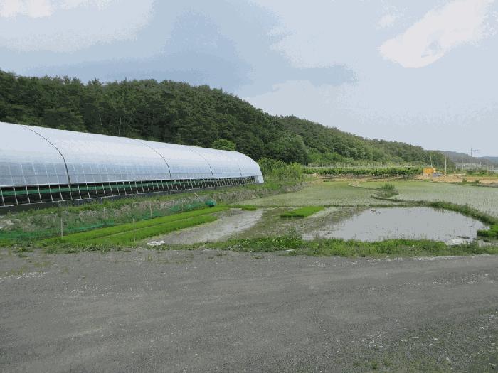 경상북도 영천시 화산면 화산리 211 법원경매 물건 대표사진