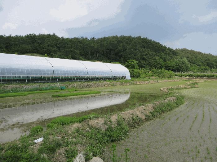 법원경매 2025타경8026 사진2 | 영천시 화산면 화산리 211 답 경매