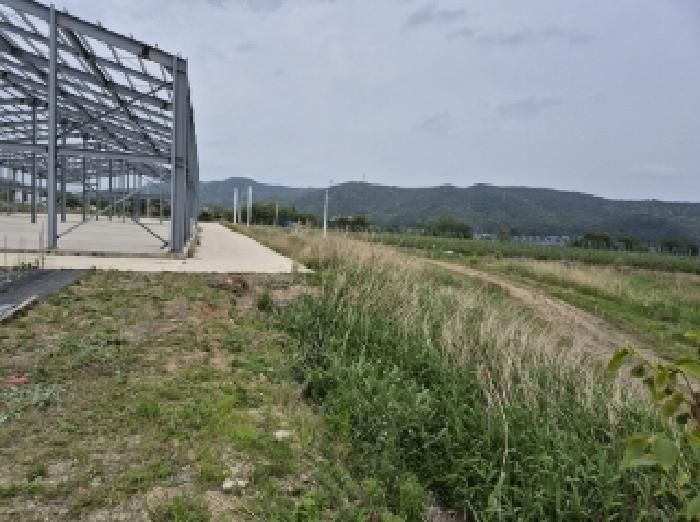 법원경매 2025타경352 사진5 | 포항시 북구 신광면 안덕리 275 대지,임야,전답 경매