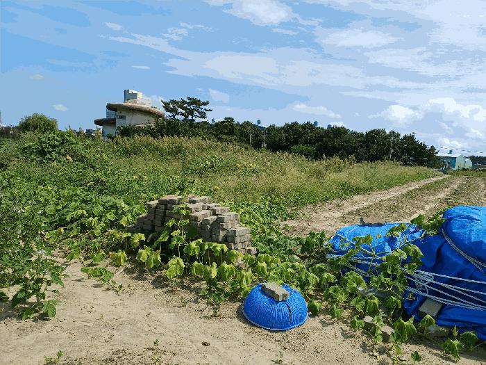 법원경매 2025타경477 사진2 | 포항시 북구 흥해읍 용한리 671-1 전 경매