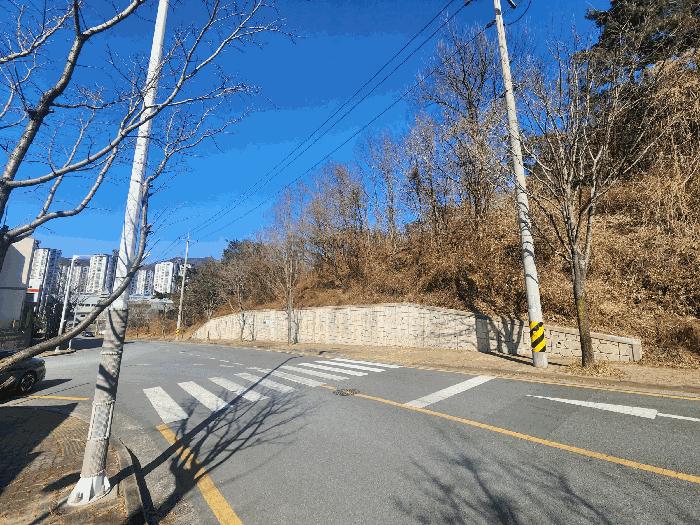 법원경매 2025타경322 사진2 | 부산 기장군 정관읍 달산리 임야 경매