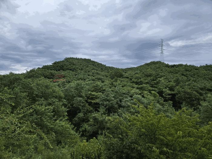 법원경매 2025타경4062 사진2 | 포항시 북구 흥해읍 이인리 임야 경매