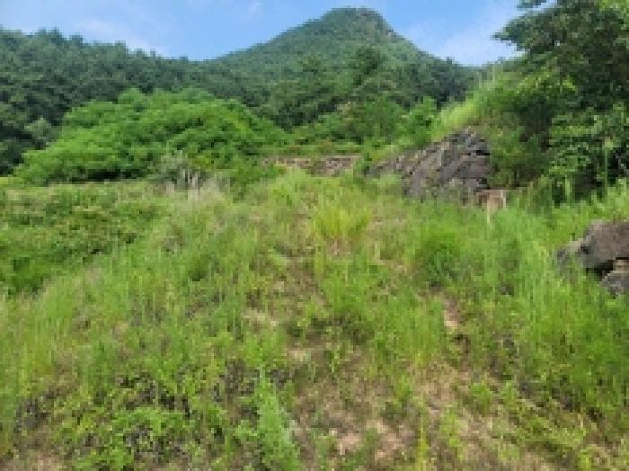 2025타경546 법원경매 사진10 | 경남 거제시 전 경매